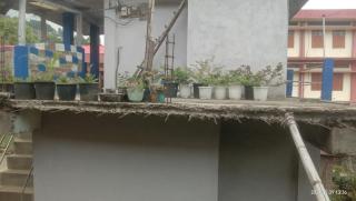 Ngullie Homestay - - 0