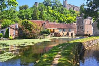 Ferme du 17ème siècle et jardin - Druyes-les-Belles-Fontaines - 4