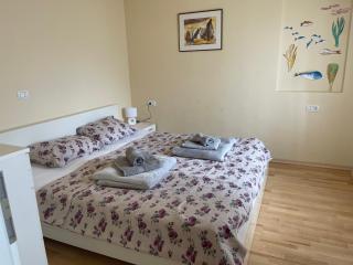 Hiša Tartinijeva - 6