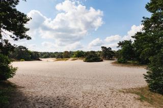 t Jagershuys incl. gebruik Finse sauna - Soest - 6