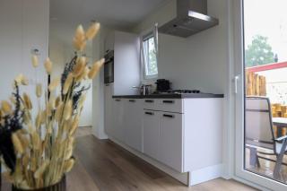 4-persoons Voortse Villa Wellness - Voorthuizen - 9
