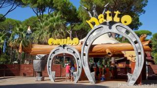Da Giulia - Marina di Castagneto Carducci - 4