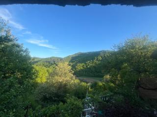 Milić apartmani 1 - 6