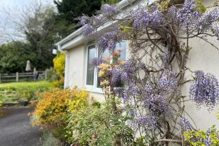 Exmoor View Wootton Courtenay - 5