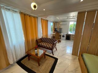Big & confortable studio in Osu - Accra - 8