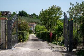 Sentiero Degli Ulivi Mascia - Caiazzo - 2