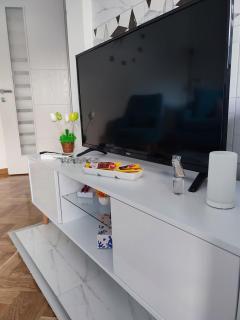 Apartman PINA Vrnjacka Banja - Vrnjačka Banja - 5