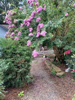 Restored1850s log cabin, with gazebo and gardens! 1 mile to downtown Weaverville - 3