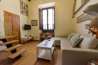 New! Exclusive Loft-Duplex Justa - Only Adults - Seville - 8