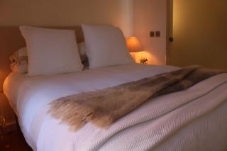 Cowper Ground Floor Apartment - 5