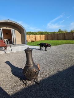 My Happy Hounds Glamping - Northallerton - 1