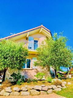 Villa near Geneva - Chens-sur-Léman - 3