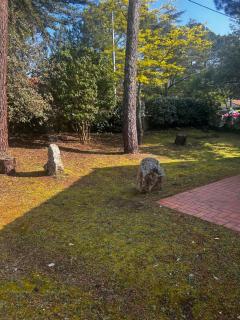 Les grillons d’Eden - Saint-Jean-de-Monts - 9