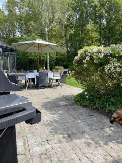 Hoeve Pino, Verwarmd zwembad - Oudenburg - 8