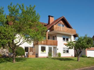 Komfortable Ferienwohnung Mit Seeblick - Bad Arolsen - 8