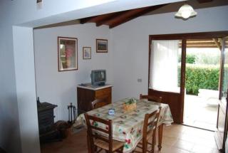 Ferienhaus in Cecina mit Großem Garten - Cecina - 8
