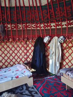 Yurt stay Jamila - - 6