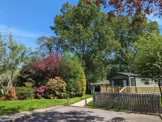 Sarn Y Glyn in Mid Wales Cambrian Mountains near Llanidloes Powys - 0
