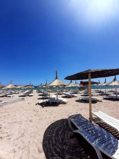 Vila Roxy on the beach - Eforie Nord - 4