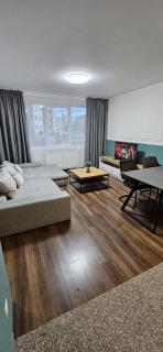Family Apartament Baia Mare - Baia Mare - 7