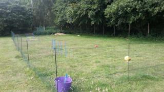 Ferienwohnung in Kellenhusen mit Großem Garten - Kellenhusen - 3