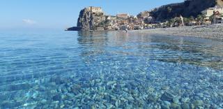 Marna - Scilla - 8