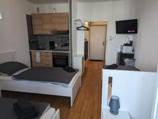 Zentrales Studio-Apartment in Linz, Arbeiter-hit - 2