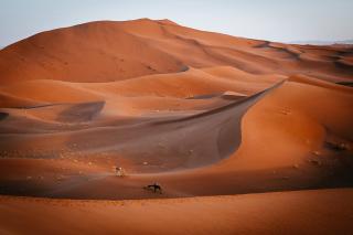 merzouga standar camp - Merzouga - 9