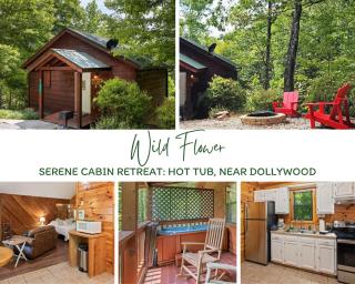 Pet-friendly Smoky Getaway With Hot Tub - Sevierville - 0