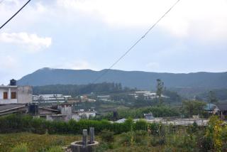 Hill View Rest - Nuwara Eliya - 9