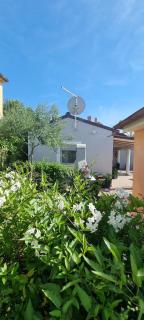 Lovely guest house Veli Vrh - Pula - 8