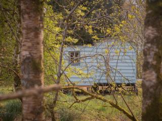 Bamff Ecotourism - 8