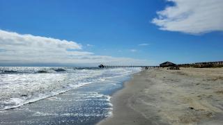 Rest A Shore by Tybee Beach Vacation Rentals - Tybee Island - 7