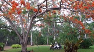 Casa Nito - Las Terrenas - 9