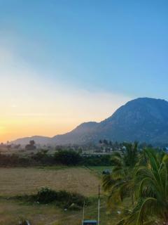 Nandi Earth - Nandi - 5