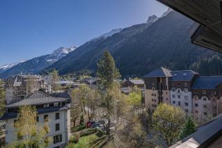 Chamois Blanc Rosières- bright 1 bed apartment with amazing views - Chamonix - 6