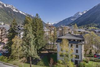 Chamois Blanc Rosières- bright 1 bed apartment with amazing views - Chamonix - 1