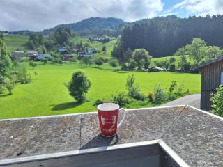 Wohnung Rheintal im Alpenvorland - Batschuns - 6