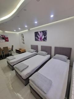 Apartments Natural and Bungalows - Sarajevo - 9