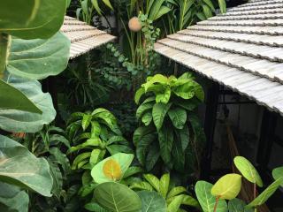 Su Kho Rom always home ศุโขรมย์ - Adults Only - Chiang Mai - 9