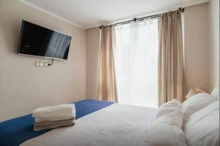 Vista a Cerro Santa Lucía con Aire Acondicionado - 8