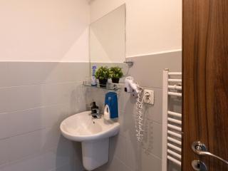 Apartmány Zelená Ratolest - České Budějovice - 1