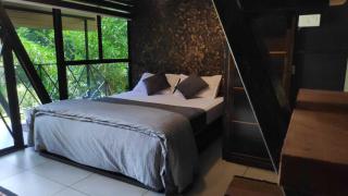 Wetlands Wayanad Pool Resort with Natural Waterfalls - Padinjarathara - 3