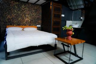 Wetlands Wayanad Pool Resort with Natural Waterfalls - Padinjarathara - 4