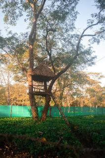 The Hoollock Heritage - Mariāni - 8