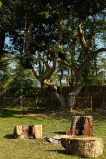 The Hoollock Heritage - Mariāni - 1