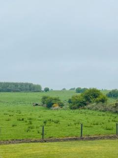 Lisalway Country Lodge - Castlerea - 1