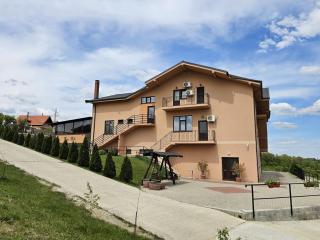 Casa Galu - Nicoreşti - 4