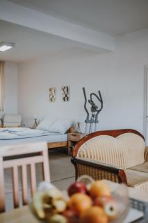 MASAL Studio Apartman - Bihać - 4