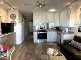 Coastal Nest - Oceanviews! Near Coligny - Hilton Head Island - 7